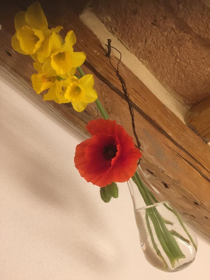 Bed and Breakfast Tabano Ristorante-Casolare Jesi Zewnętrze zdjęcie